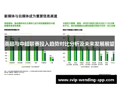 英超与中超联赛投入趋势对比分析及未来发展展望