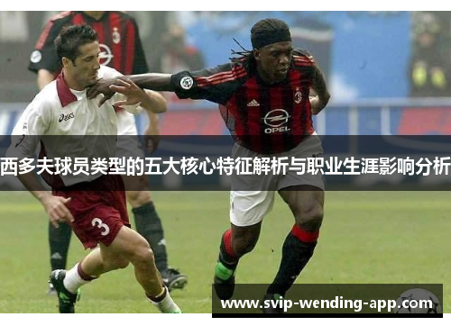 西多夫球员类型的五大核心特征解析与职业生涯影响分析 西多夫球员类型的五大核心特征解析与职业生涯影响分析