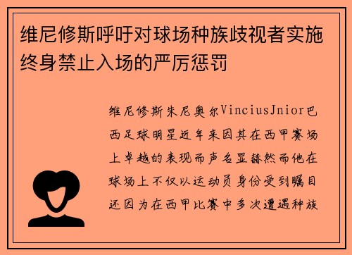 维尼修斯呼吁对球场种族歧视者实施终身禁止入场的严厉惩罚